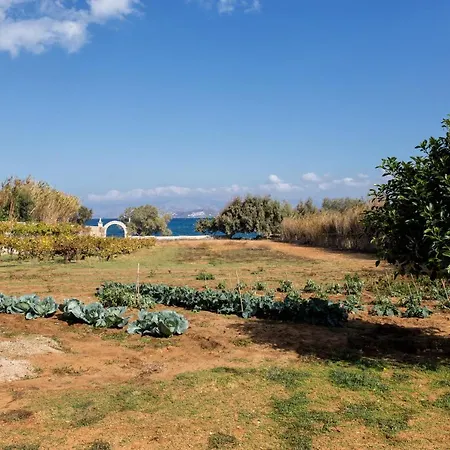 Bilmar Sea Side 펜션 Mármara